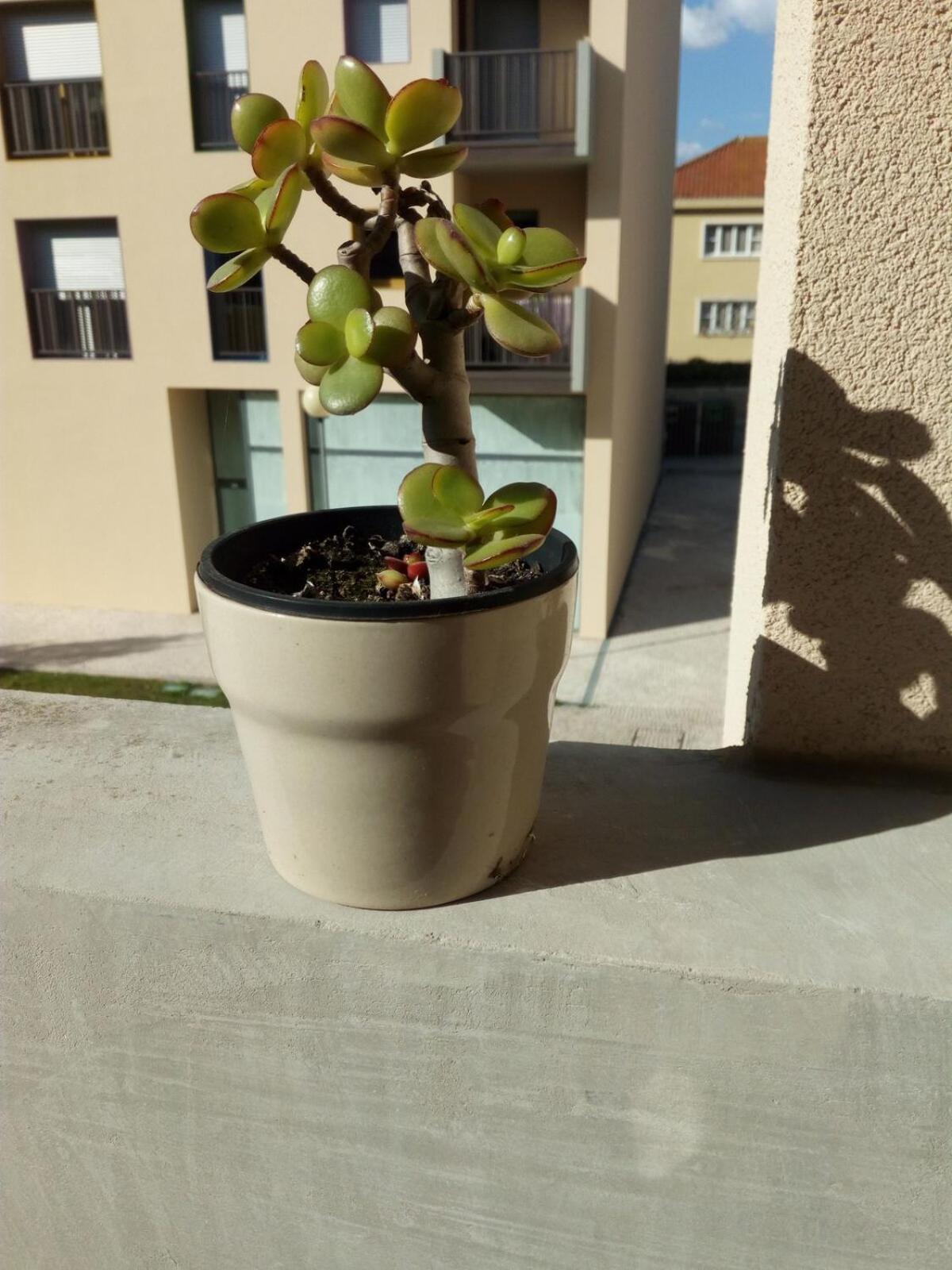 Alojamento Calypso Povoa de Varzim Bagian luar foto