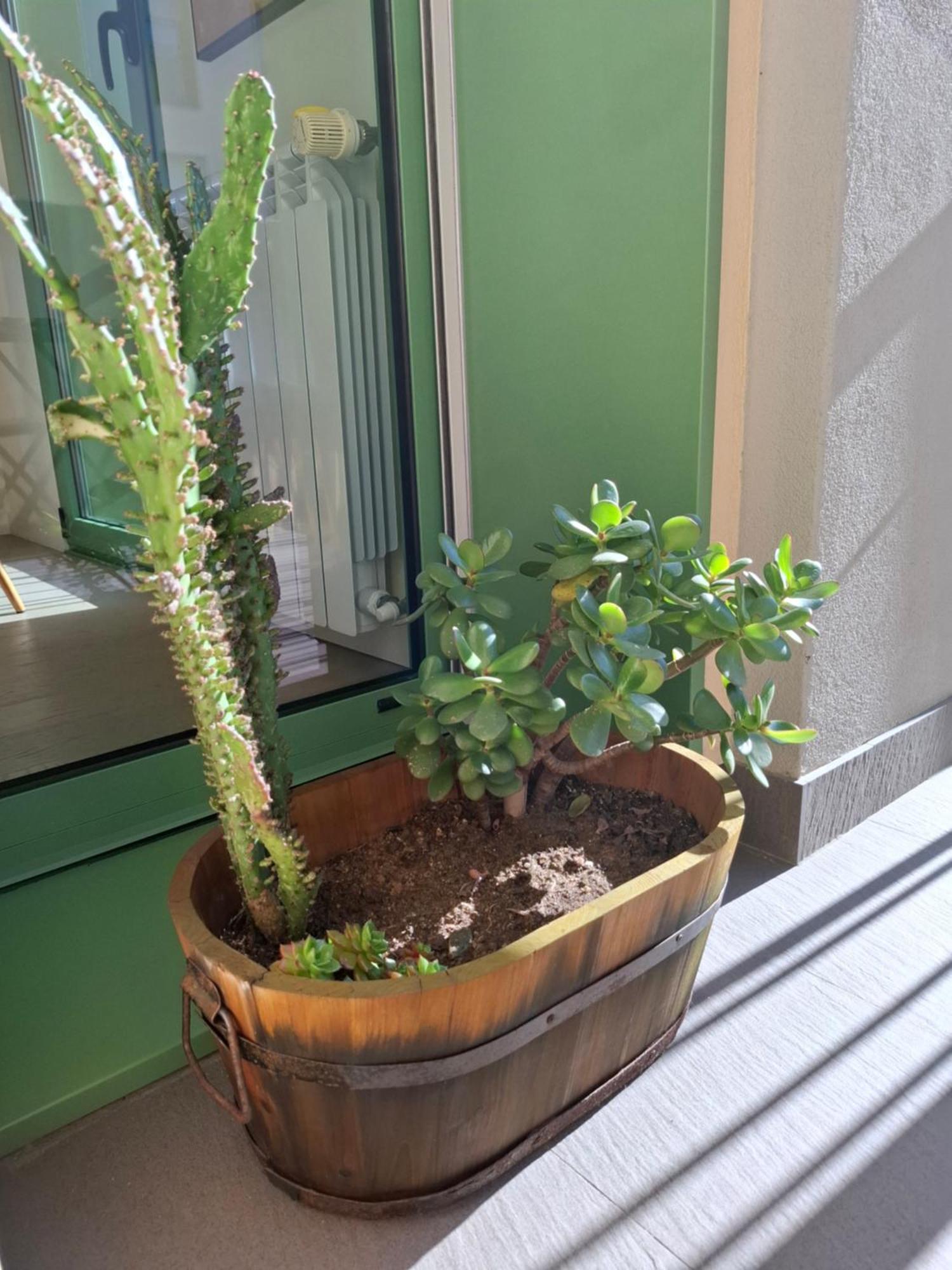 Alojamento Calypso Povoa de Varzim Bagian luar foto